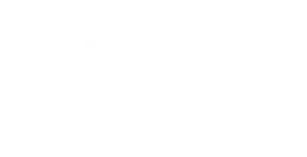 FETE DES REMPARTS DE DINAN